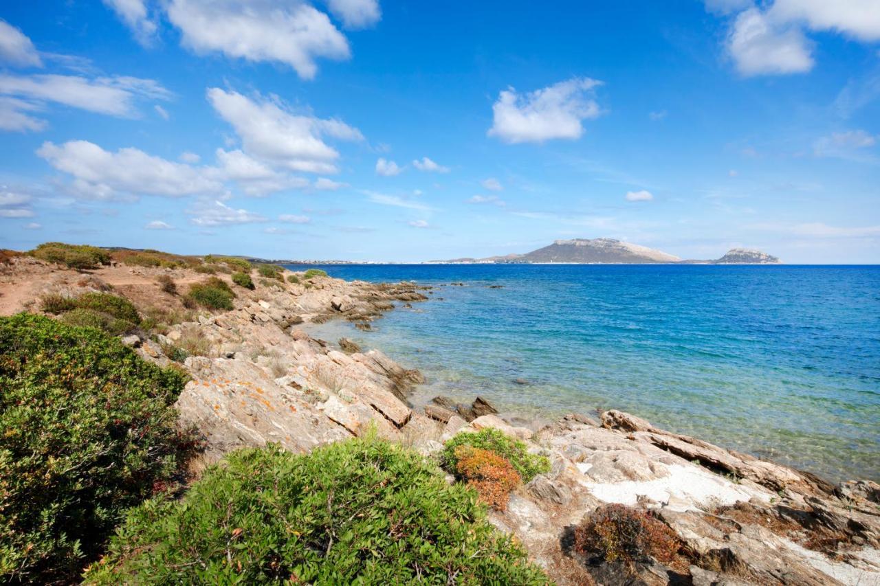 Hotel Baia Aranzos 피뚤론구 외부 사진